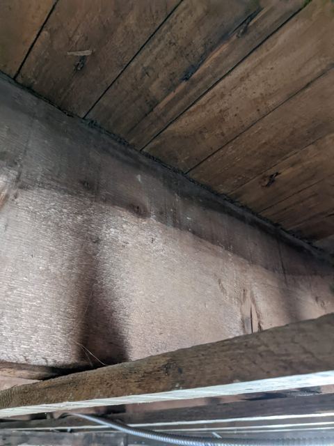 Drywall & Ceilings — Before