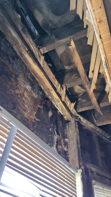 Drywall & Ceilings — Before