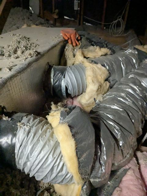 Interior Renovation — Before