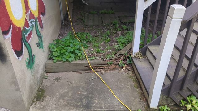 Interior Renovation — Before