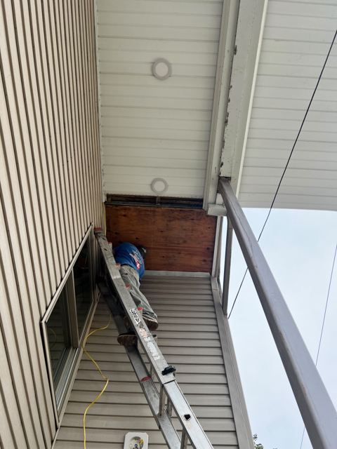 Deck — Before