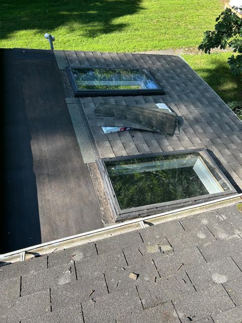 Carpentry & Doors — During