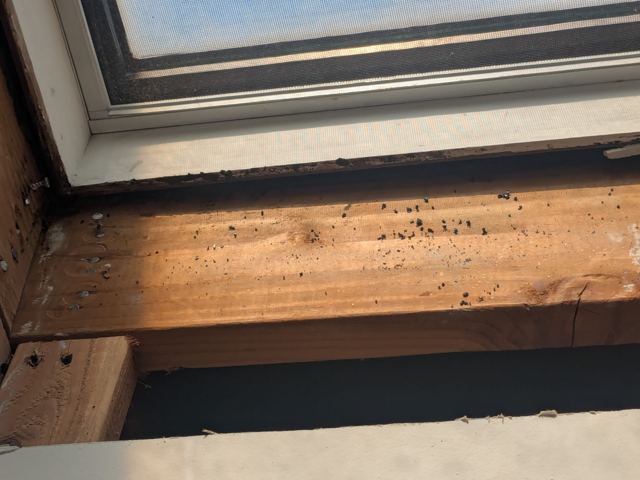 Carpentry & Doors — Before