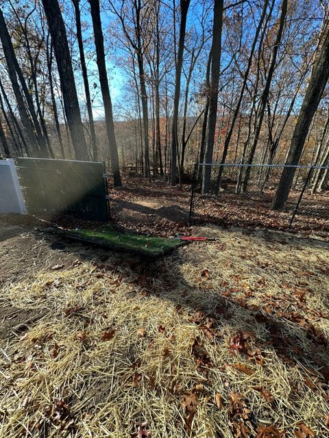 Exterior & Hardscape — During
