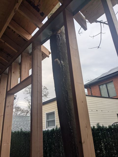 Carpentry & Doors — During