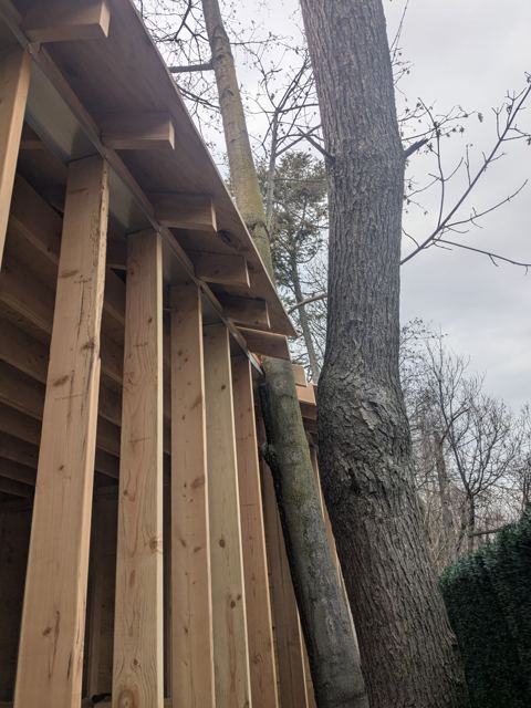 Carpentry & Doors — During