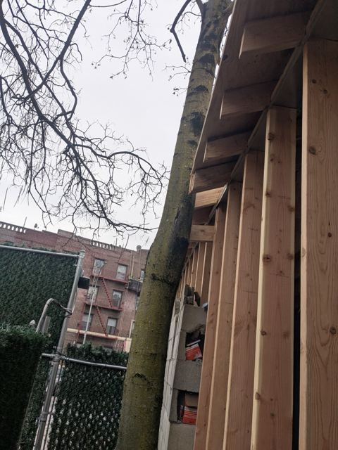 Carpentry & Doors — During