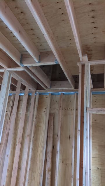 Carpentry & Doors — During