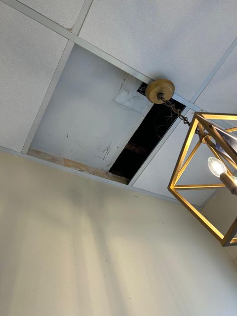 Interior Renovation — During
