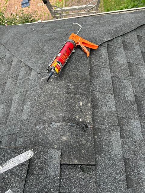 Interior Renovation — During