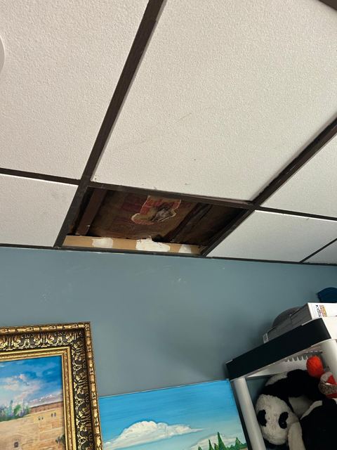 Interior Renovation — Before