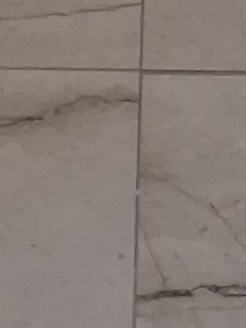 Flooring — Before