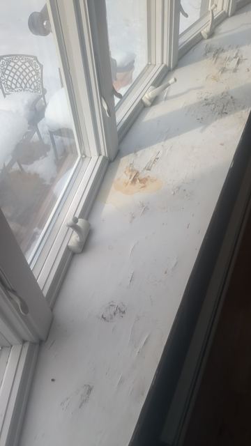 Carpentry & Doors — Before