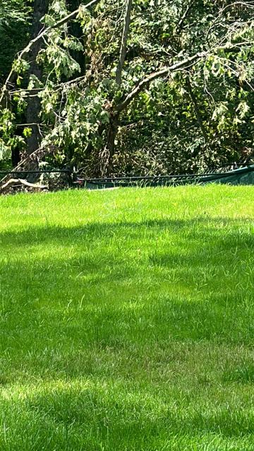 Concrete Patio & Aluminum Fence — After