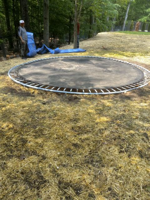Concrete Patio & Aluminum Fence — During
