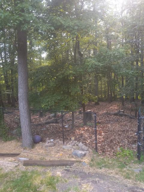 Concrete Patio & Aluminum Fence — Before