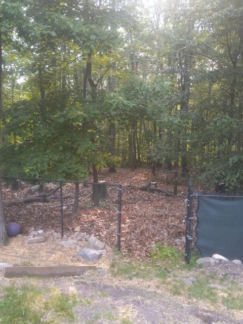 Concrete Patio & Aluminum Fence — Before