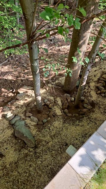 Retaining Wall Construction — During