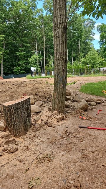 Granite Retaining Wall & Pool Pavers — Before